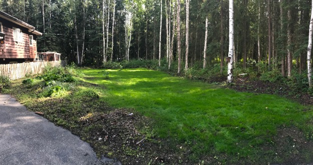 front yard prior to landscaping