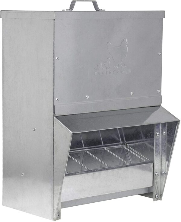 chicken feeder