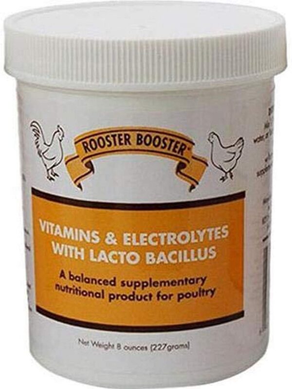 rooster booster with lacto bacillus